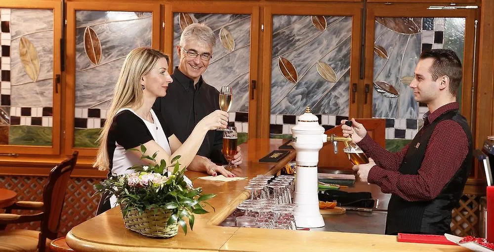 Spa Hotel Villa Smetana Κάρλοβι Βάρι 4*,